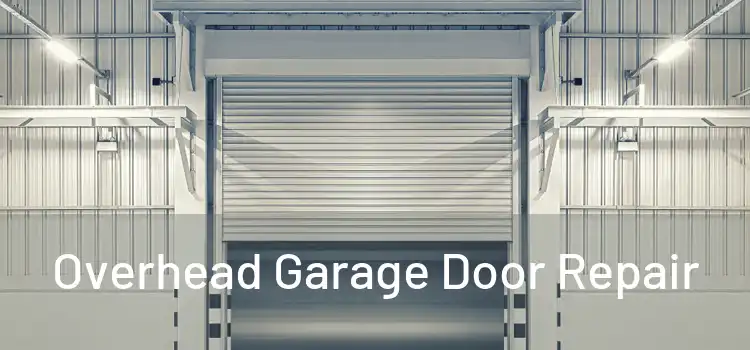  Overhead Garage Door Repair 